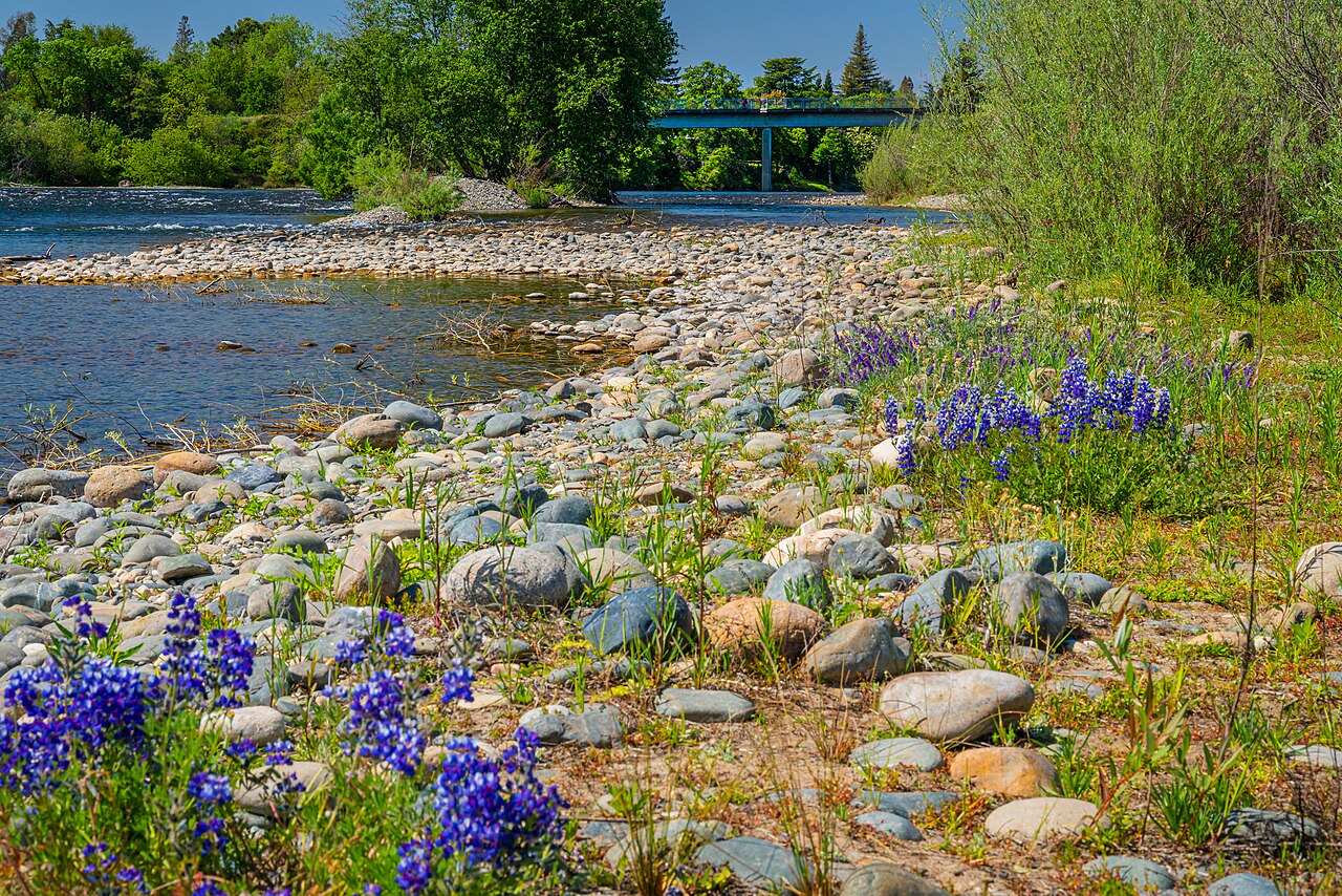 American River in Rancho Cordova